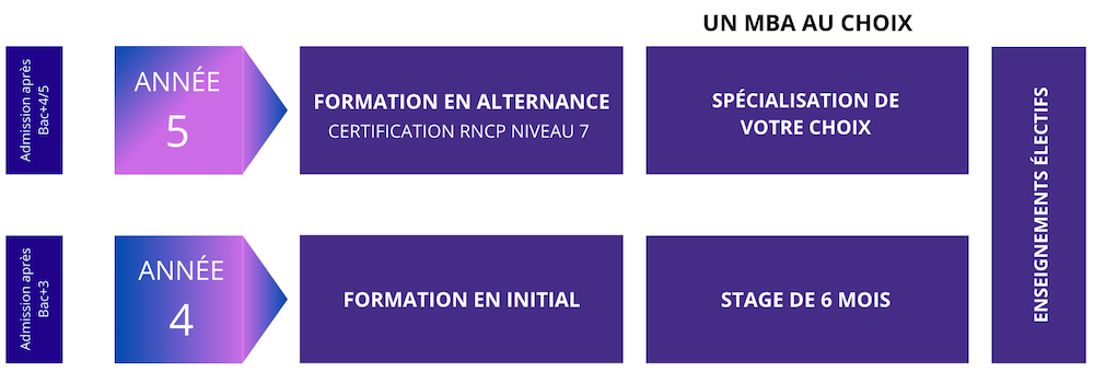 Programme-marketing-communication-globale